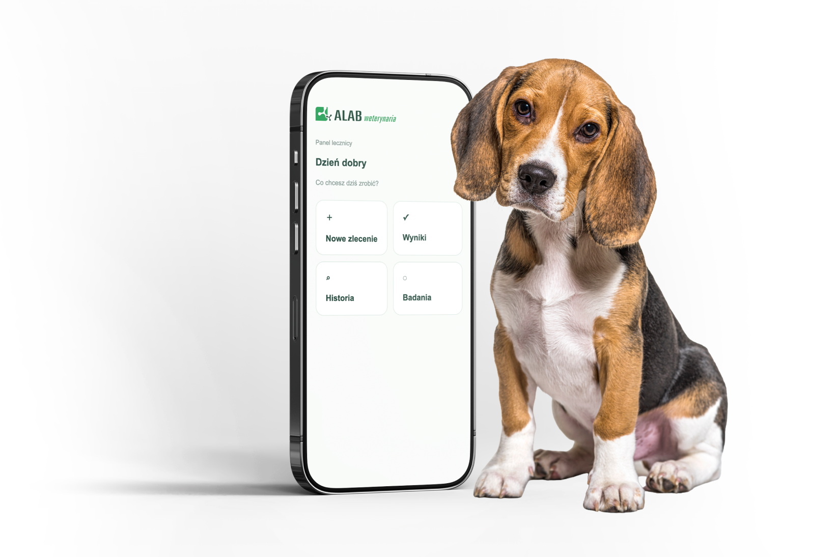 Aplikacja ALAB weterynaria na telefonie obok szczeniaka beagle